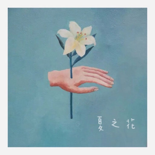 鲁鲁网视频在线
